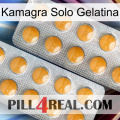 Kamagra Only Jelly levitra2